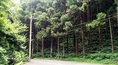 虫の声