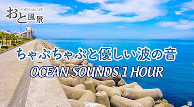 夏の滝の音 1時間 おと風景